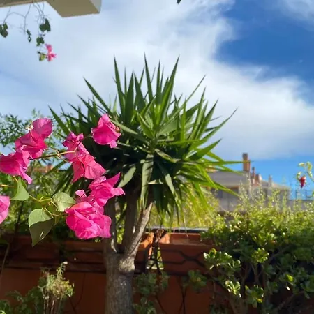 Hotell Ospiti Da Sergio