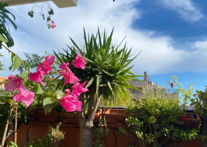 Otel Ospiti Da Sergio